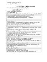 Kế hoạch Tổ Toán Tháng 1,2,3/2010