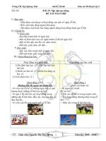 Mi thuat 5- tuan 29 ( co hinh)