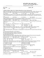 Hóa_11 Thi HK II số 4