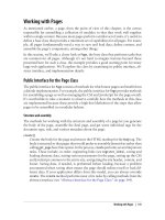 Developing Large Web Applications- P17 pps