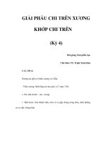 GIẢI PHẪU CHI TRÊN XƯƠNG KHỚP CHI TRÊN (Kỳ 4) potx