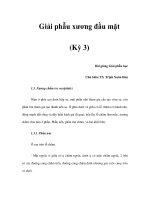 Giải phẫu xương đầu mặt (Kỳ 3) pot