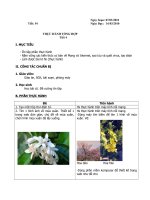 Tin 9 Tiet 54 den 60