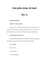 Giải phẫu khớp chi dưới (Kỳ 1) ppsx