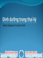 Dinh dưỡng trong thai kỳ