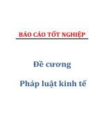 đề cương pháp luật kinh tế