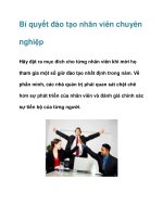 Bí quyết đào tạo nhân viên chuyên nghiệp pot