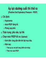 Bài giảng Chọn lựa và cài đặt thở máy (Phần 8) doc