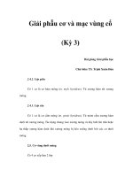 Giải phẫu cơ và mạc vùng cổ (Kỳ 3) pptx