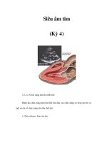 Siêu âm tim (Kỳ 4) pptx