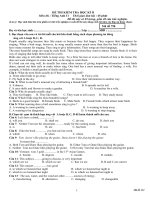 Đề tham khảo Anh_11 HK_II số 5