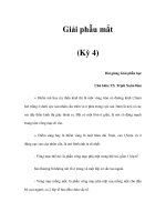 Giải phẫu mắt (Kỳ 4) doc