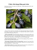 Chữa viêm họng bằng quả trám ppt