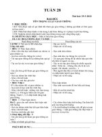 Trúc GA lớp 4 CKTKN