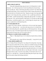 DE TAI DUY TRI SI SO