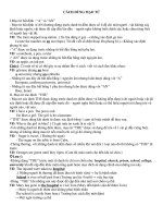 Cách dùng mạo từ