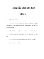 Giải phẫu khớp chi dưới (Kỳ 3) pptx