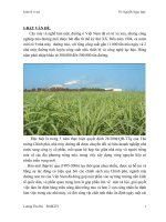 tài liệu về kinh tế vi mô