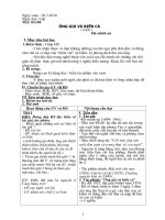 Ông già và biển ca Tiết 83,84