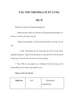 CÁC TỔN THƯƠNG CỔ TỬ CUNG (Kỳ 5) potx