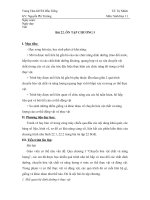 Bài 22 Sinh học 11 Căn bản