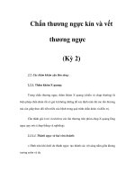 Chấn thương ngực kín và vết thương ngực (Kỳ 2) ppsx