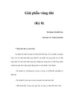 Giải phẫu vùng đùi (Kỳ 8) pps
