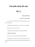 Giải phẫu khớp đầu mặt (Kỳ 1) pps
