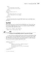 Microsoft SQL Server 2005 Developer’s Guide- P13 ppsx