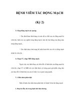 BỆNH VIÊM TẮC ĐỘNG MẠCH (Kỳ 2) pptx