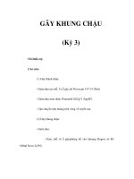 GÃY KHUNG CHẬU (Kỳ 3) docx