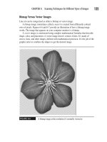 How to Do Everything With Your Scanner- P26 pptx