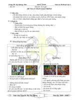 Mi thuat4 - tuan 29 ( co hinh )