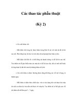 Các thao tác phẫu thuật (Kỳ 2) potx