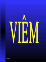 Bài giảng Giải Phẫu_Viêm ppsx