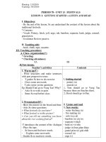 Giáo án Anh 8- Unit 13