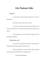 Gãy Pouteau-Colles ppsx