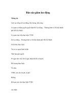 Báo cáo giảm lao động ppt