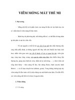 VIÊM MỐNG MẮT THỂ MI pot