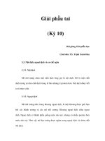 Giải phẫu tai (Kỳ 10) pdf