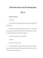 Chẩn đoán độ sâu của tổn thương bỏng (Kỳ 2) pps