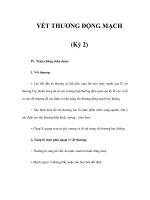VẾT THƯƠNG ĐỘNG MẠCH (Kỳ 2) doc