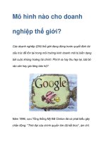 Mô hình nào cho doanh nghiệp thế giới? ppt