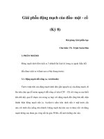 Giải phẫu động mạch của đầu- mặt - cổ (Kỳ 8) potx