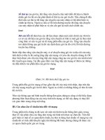 Giáo Trình Network-Mạng máy tính part 4 ppsx