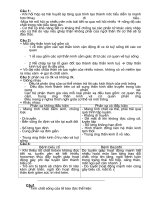 ĐỀ VÀ ĐÁP ÁN THAM KHẢO