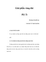 Giải phẫu vùng đùi (Kỳ 2) ppt