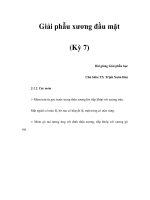 Giải phẫu xương đầu mặt (Kỳ 7) pps