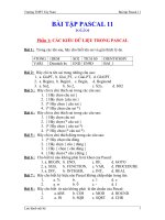 Bài tập tổng hợp Pascal pot