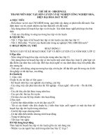 Giáo án HN&NGLL lớp 12-VB